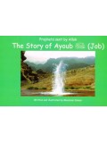 Prophets Sent By Allah The story of Ayoub (job)